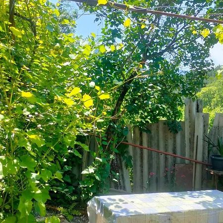 Guest House Gogias Cixe Borjomi Esterno foto