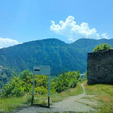 Guest House Gogias Cixe Borjomi Esterno foto