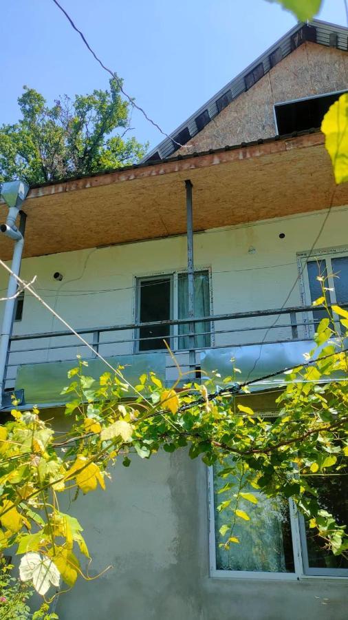 Guest House Gogias Cixe Borjomi Esterno foto