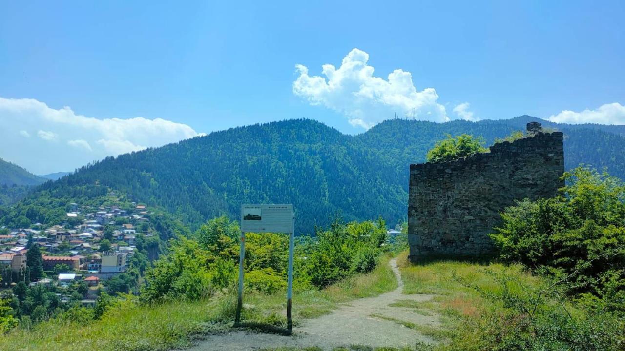 Guest House Gogias Cixe Borjomi Esterno foto