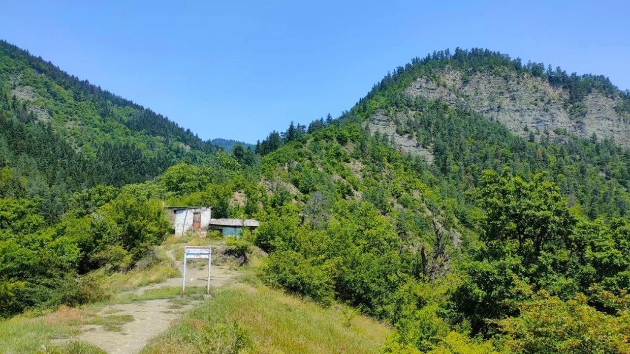 Guest House Gogias Cixe Borjomi Esterno foto