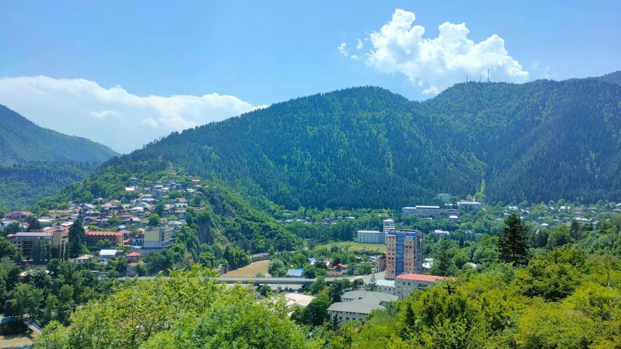 Guest House Gogias Cixe Borjomi Esterno foto