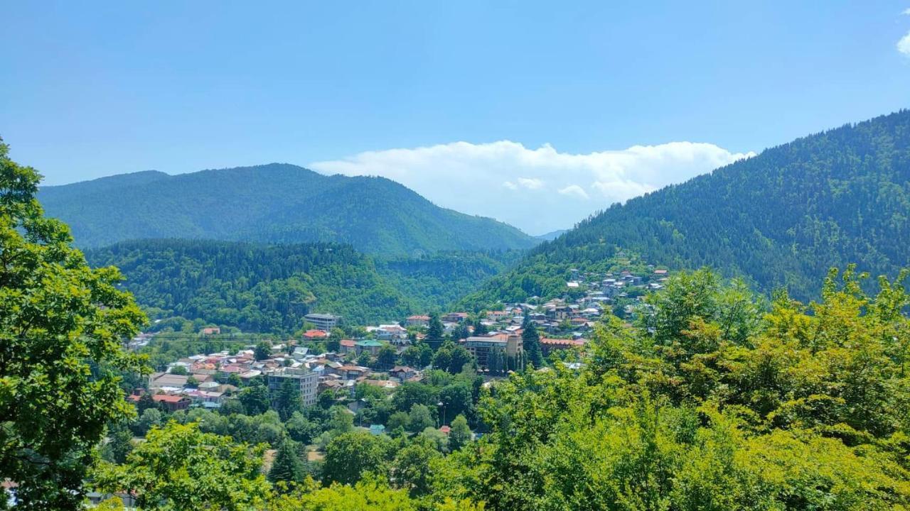Guest House Gogias Cixe Borjomi Esterno foto