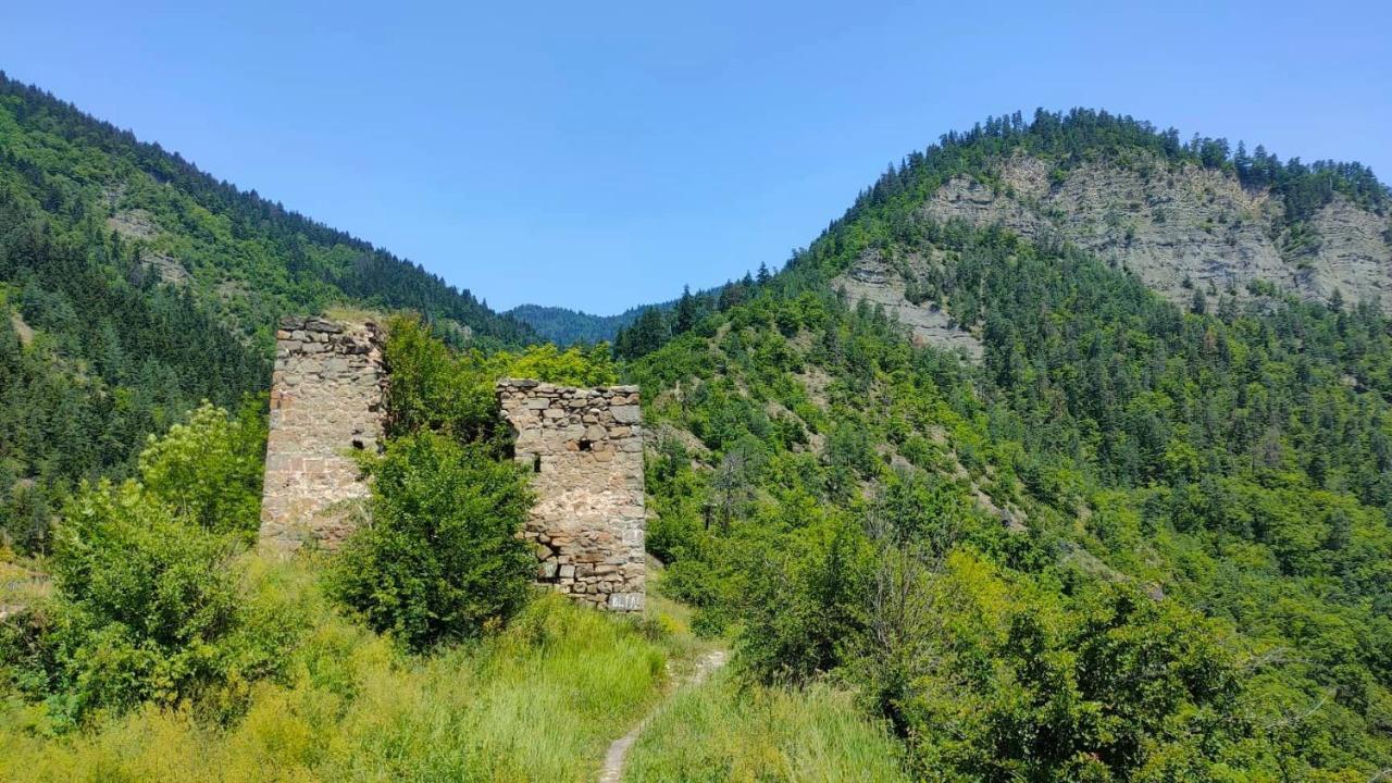 Guest House Gogias Cixe Borjomi Esterno foto