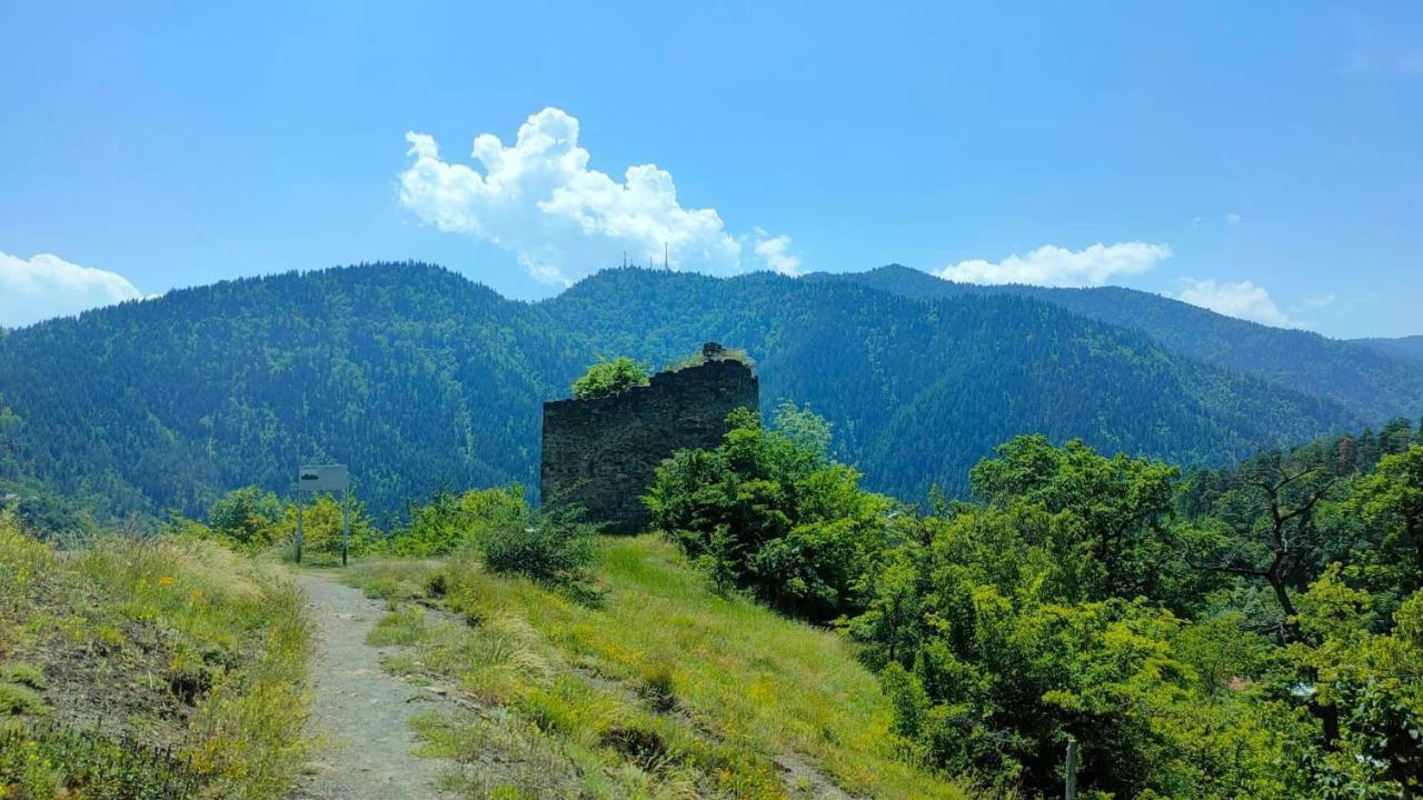 Guest House Gogias Cixe Borjomi Esterno foto